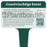 Grootvruchtige krent