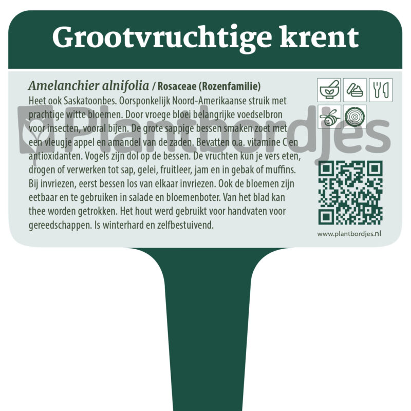 Grootvruchtige krent