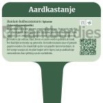 Aardkastanje