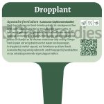 Dropplant