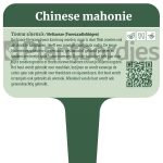 Uiensoepboom (Chinese mahonie)