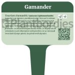 Gamander