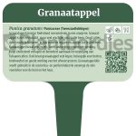 Granaatappel
