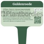 Guldenroede