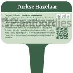 Hazelaar (Turkse)