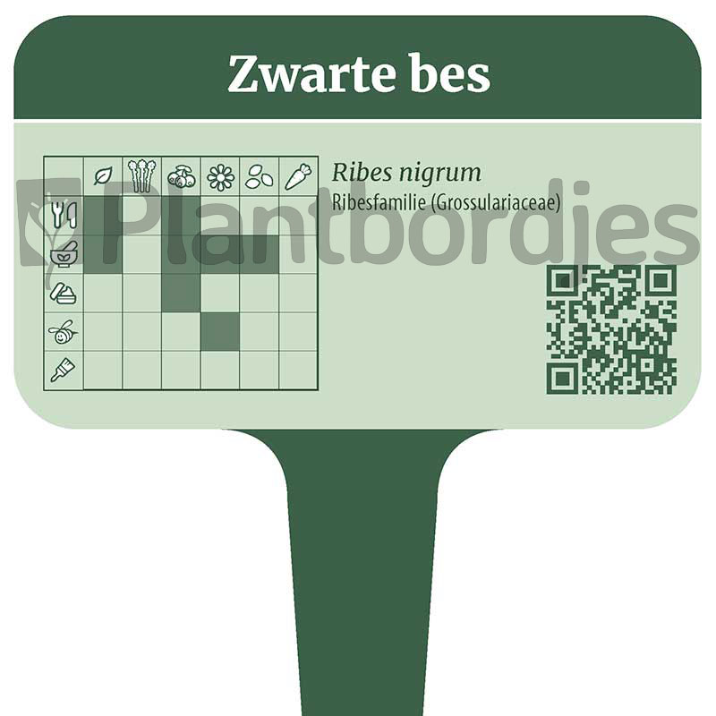 Zwarte bes