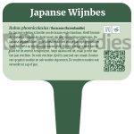 Japanse Wijnbes
