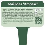 Plantbordjes-Voedselbos-MS_Abrikoos-Bredase