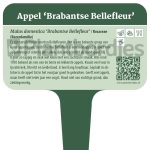 Plantbordjes-Voedselbos-MS_Appel-Brabantse-Bellefleur