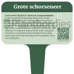 Plantbordjes-Voedselbos-MS_Grote-schorseneer