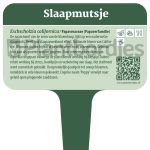 Plantbordjes-Voedselbos-MS_Slaapmutsje
