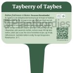 Plantbordjes-Voedselbos-MS_Tayberry-of-Taybes