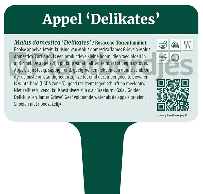 Appel_Delikates_pf1 Appel 'Delikates'