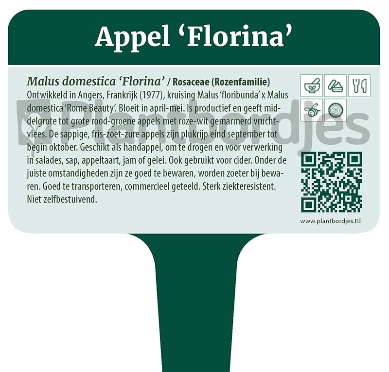 Appel_Florina.pf1 Appel 'Florina'