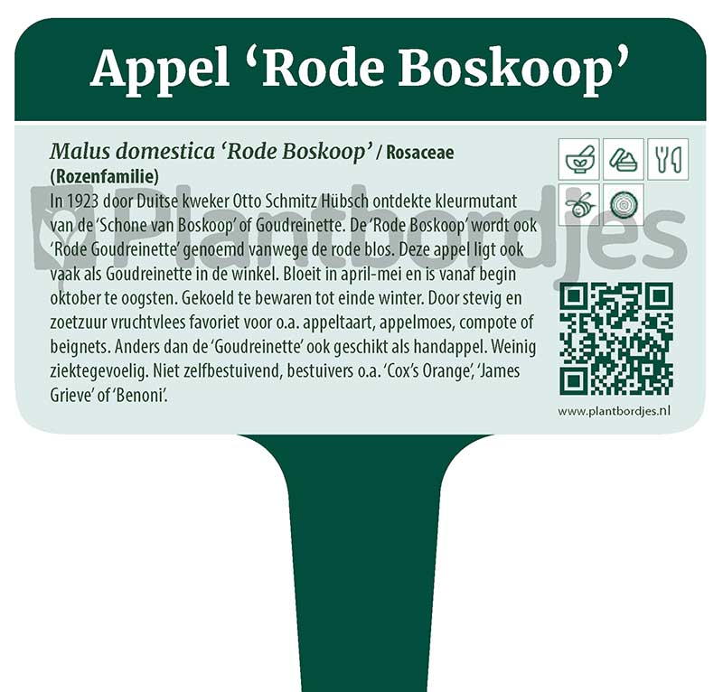 Appel_RodeBoskoop.pf1 Appel 'Rode Boskoop'