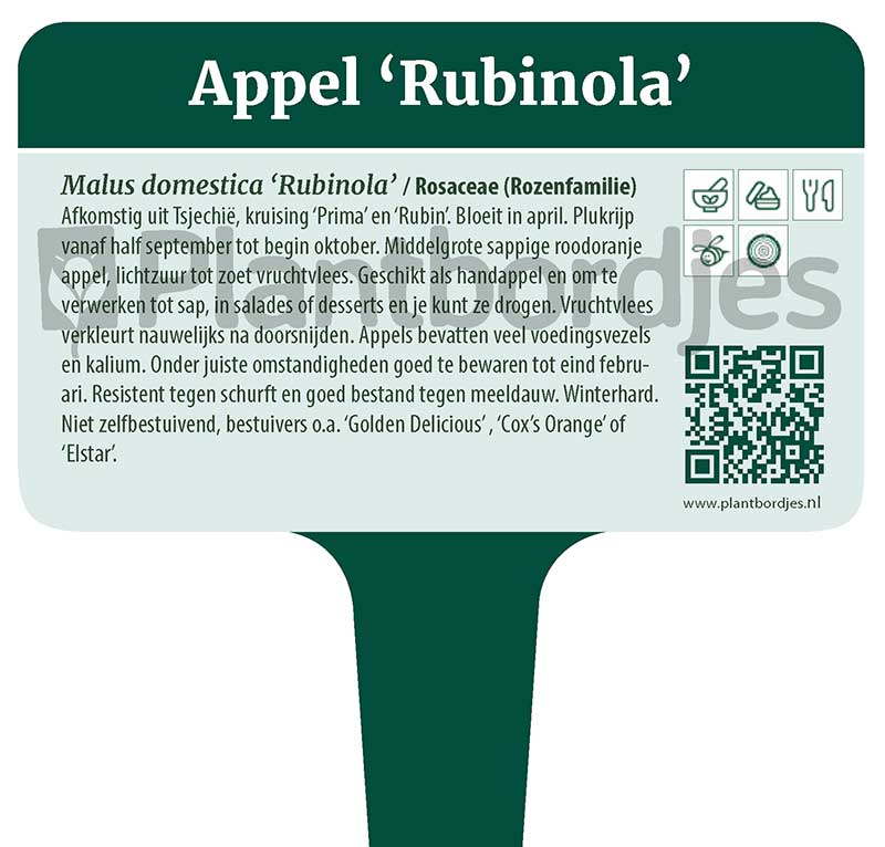 Appel_Rubinola.pf1 Appel 'Rubinola'