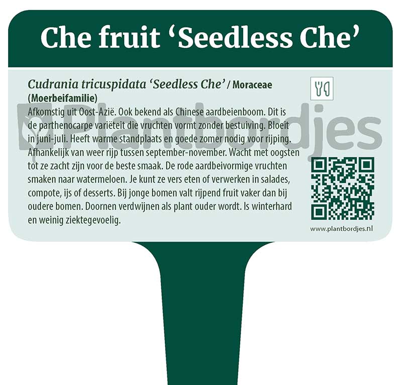 CheFruit_SeedlessChe.pf1 Che Fruit 'Seedless Che'