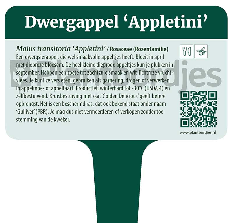 Dwergappel_Appletini.pf1 Dwergappel 'Appletini'