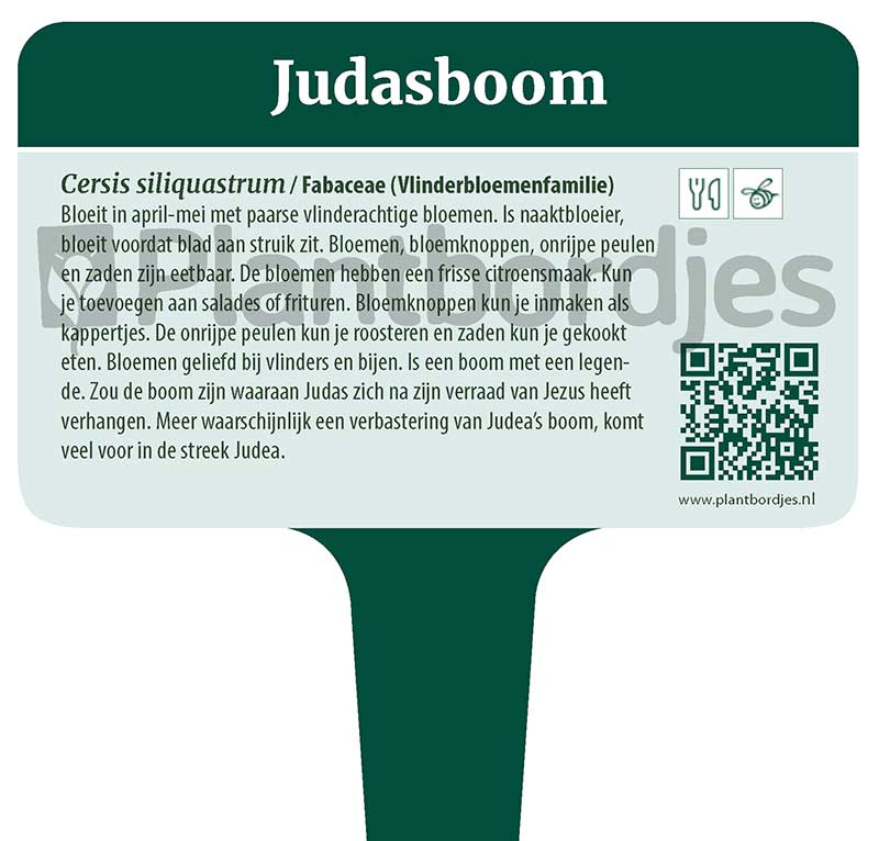 Judasboom.pf1 Judasboom
