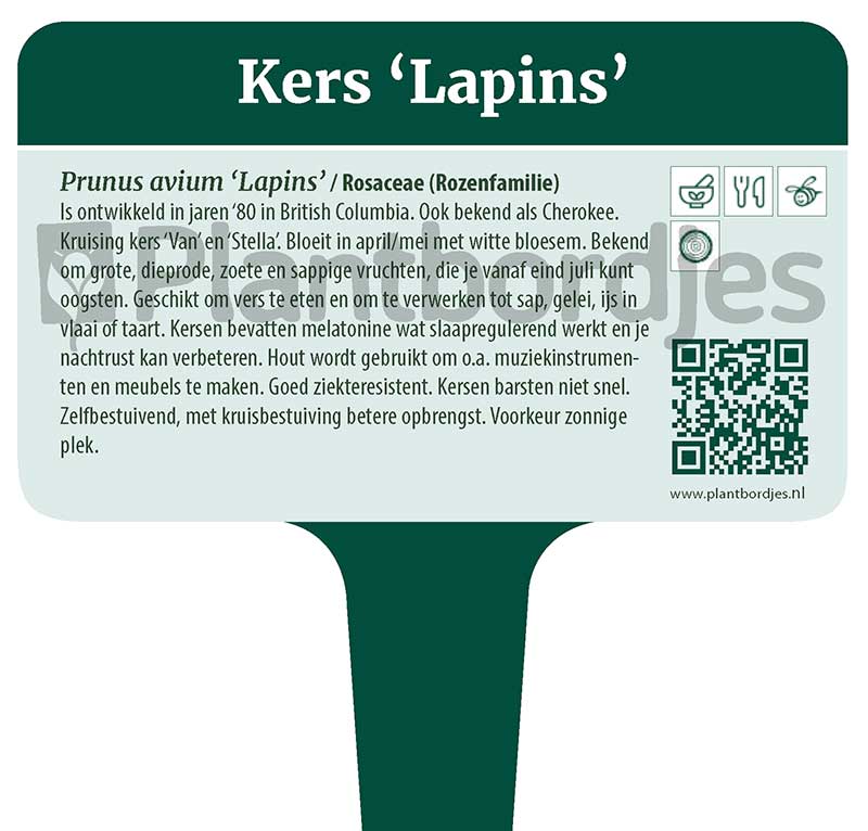 Kers_Lapins.pf1 Kers 'Lapins'