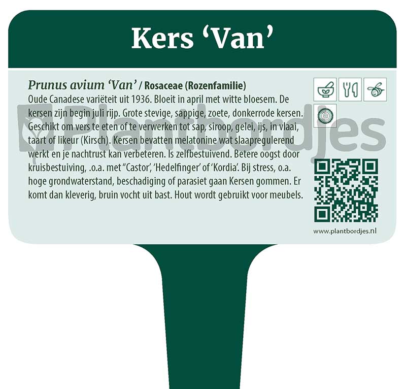 Kers_Van.pf1 Kers 'Van'