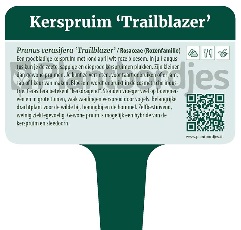 Kerspruim.Trailblazer.pf1 Kerspruim 'Trailblazer'