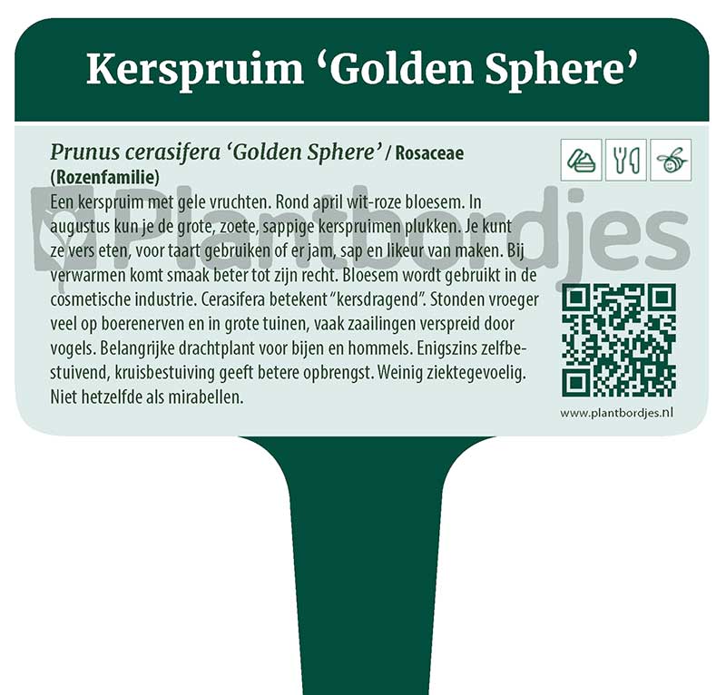 Kerspruim_GoldenSphere.pf1 Kerspruim 'Golden Sphere'