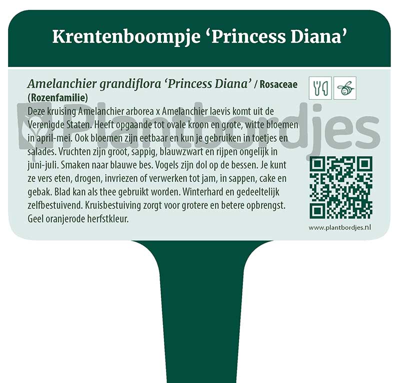 Krentenboompje_PrincessDiana.pf1 Krentenboompje 'Princess Diana'