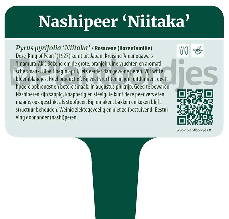 Nashipeer_Niitaka.pf1 Nashipeer 'Niitaka'