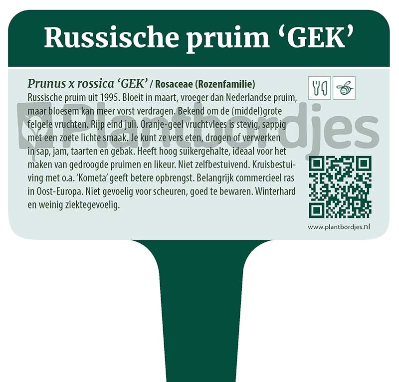 RussischePruim_Gek.pf1 Russische pruim 'GEK'