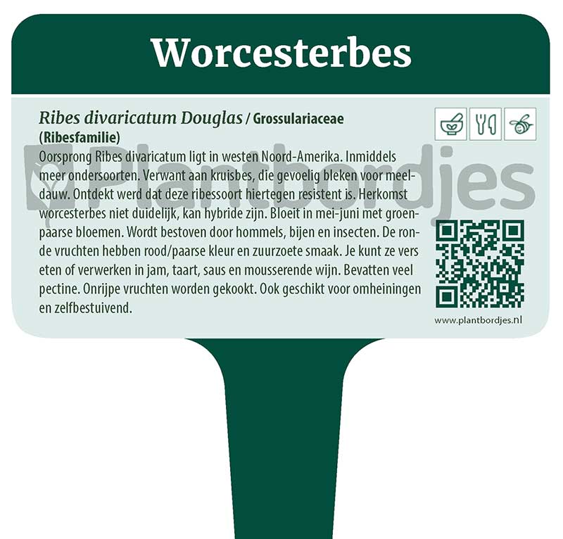 Worcesterbes.pf1 Worcesterbes