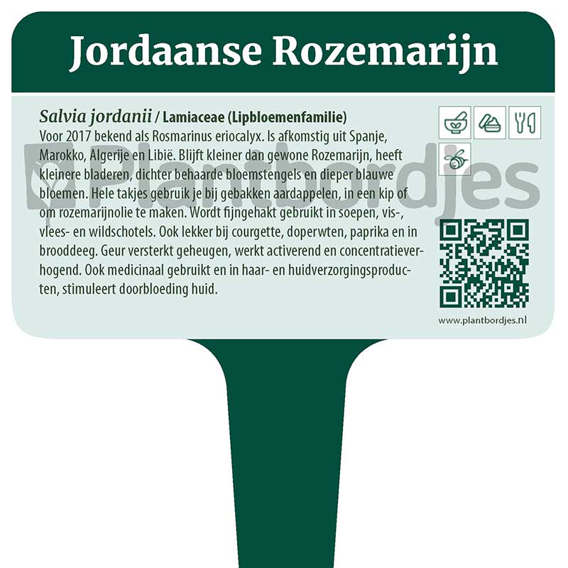 Jordaanse Rozemarijn