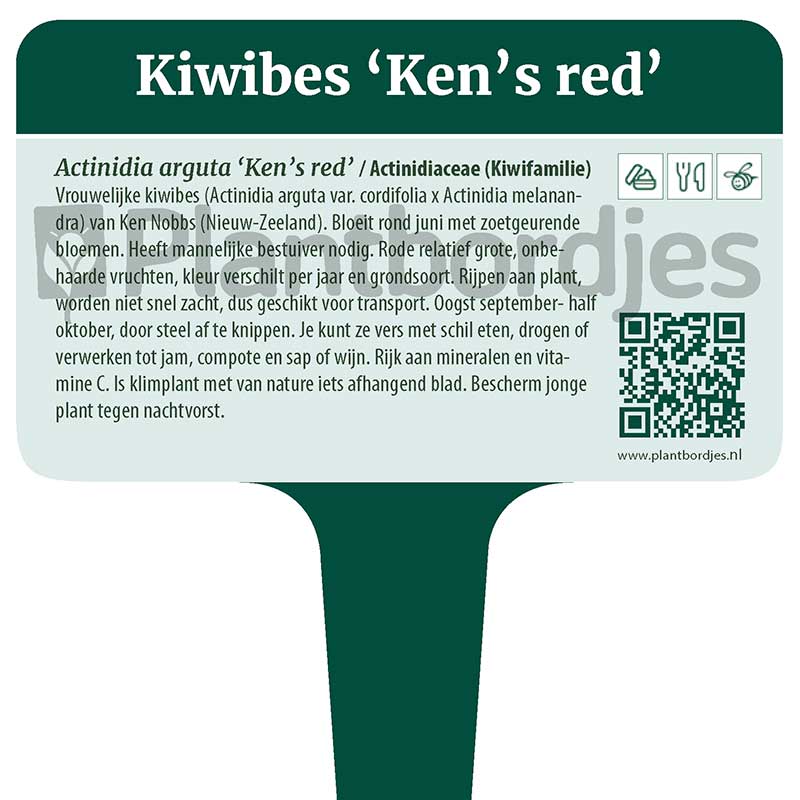 Plantbordjes-MS_WEB_trim_Pagina_03 Kiwibes 'Ken's Red'