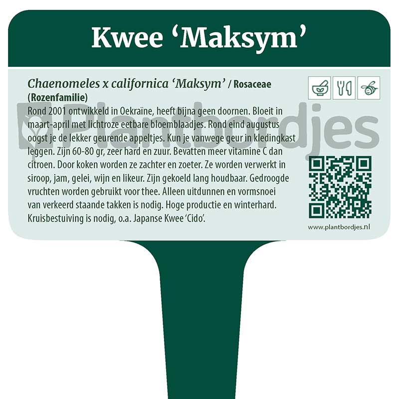 Plantbordjes-MS_WEB_trim_Pagina_11 Kwee 'Maksym'
