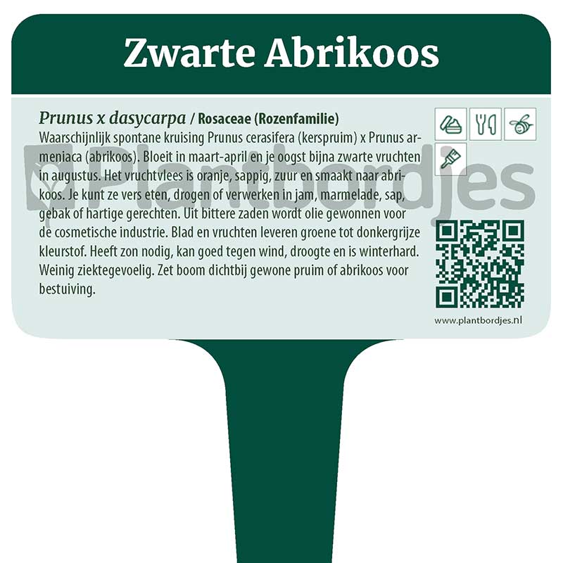 Plantbordjes-MS_WEB_trim_Pagina_15 Zwarte Abrikoos