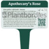 EN_Apothecary's_Rose_PBW_steker_2026 Apothekersroos