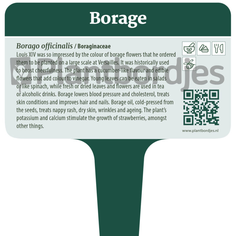 EN_Borage_PBW_steker_2026 Bernagie